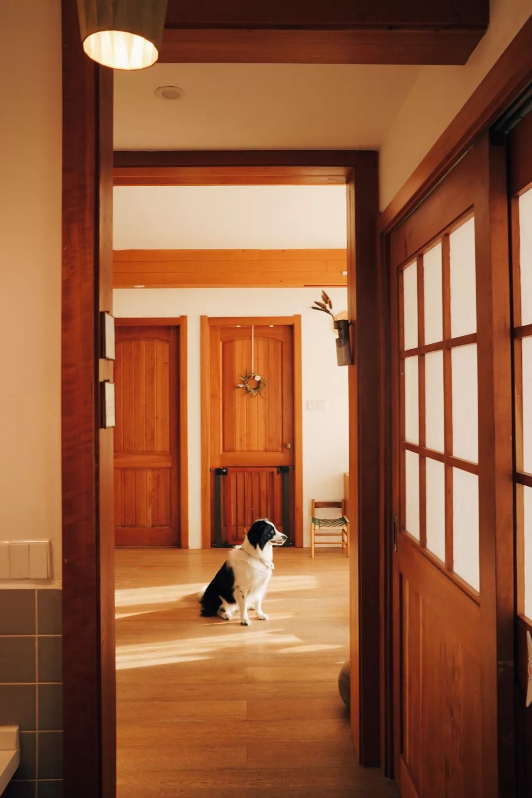 澶湁鐖变簡瀹屾暣瑙嗛,澶湁鐖变簡鍏ㄦ枃闃呰