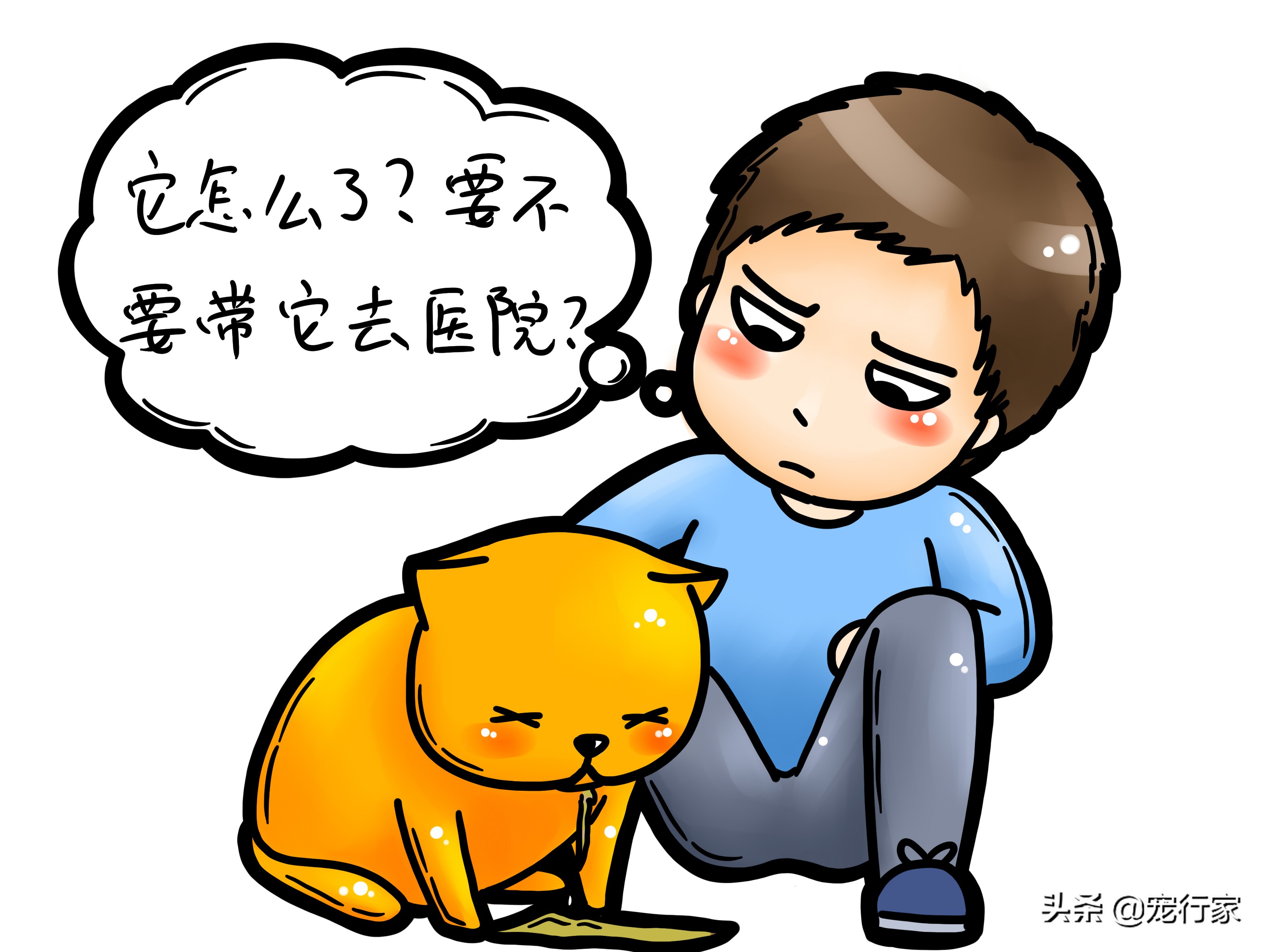 猫的呕吐物很油,猫呕吐的原因及治疗办法