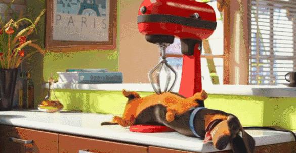 狗子在家来回踱步是什么原因,狗子为什么会很喜欢躲床底下睡觉