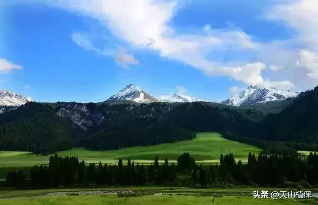 大美新疆百里画廊,北疆千里画廊打卡点