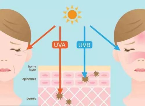 玉泽能修复角质层吗,角质层修复最快方法