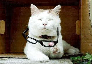 蒸汽眼罩珍视明蔚蓝,眼罩是花王好还是珍视明好