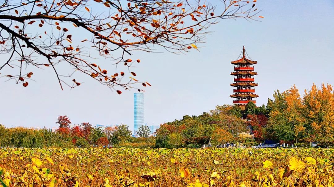 南昌9元特价机票,三月南昌特价机票