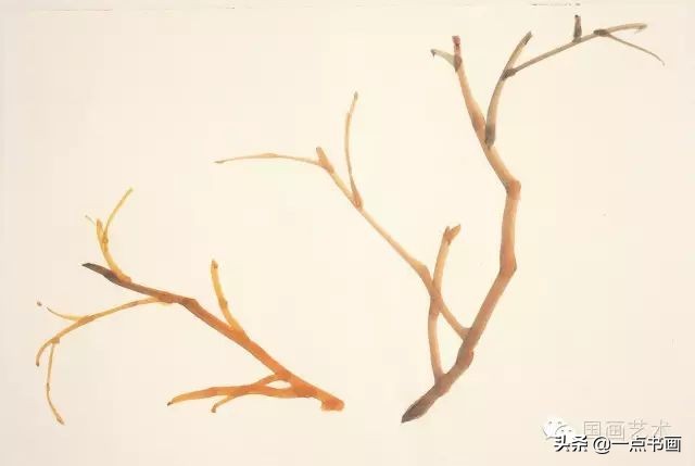 王绣写意牡丹画法步骤,王兮然写意牡丹画法视频大全