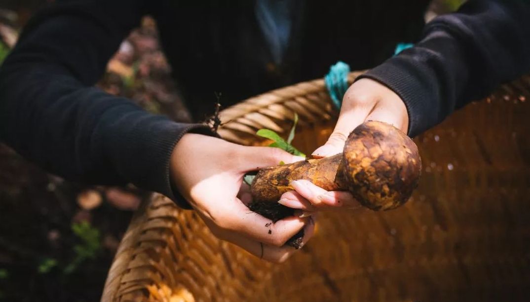 孟非进西藏遇到了什么,孟非西藏最新视频