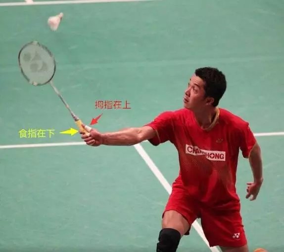 金秋诗画（学羽精华33.发力技巧）