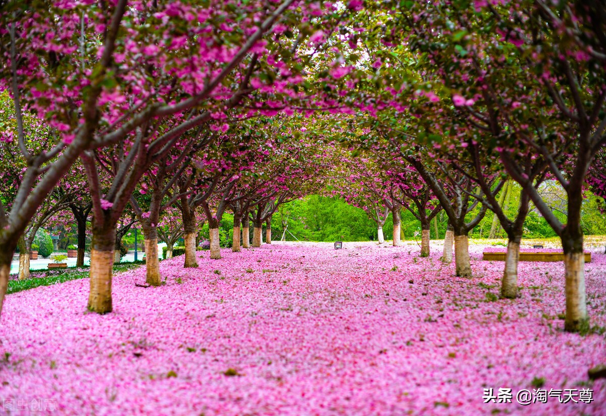 3月24日股市内参,3月24日股市行情分析