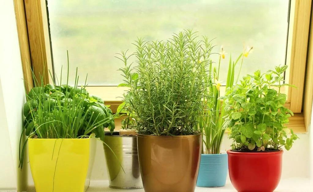 脸干爆皮还长痘怎么补救最快,干皮修护皮肤屏障长痘