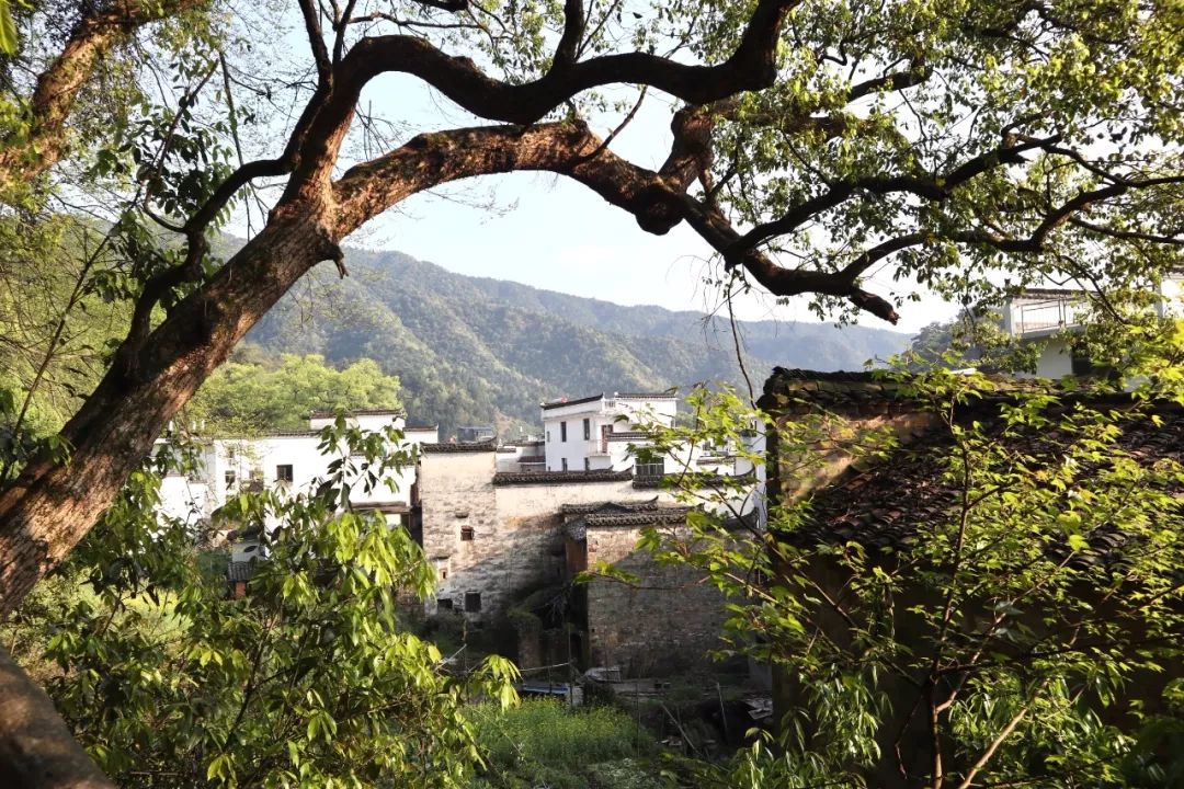 婺源清华朴园,婺源旅游攻略2日游民宿