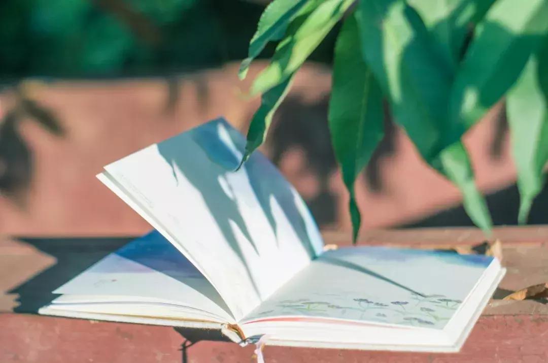 天津中小学新生注意!开学后这三科将全部启用新教材