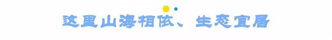 喜欢日照这座美丽的城市,突然爱上日照这座小城