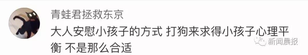 遛狗不牵绳算野狗吗,遛狗不牵狗绳咬伤别人怎么办