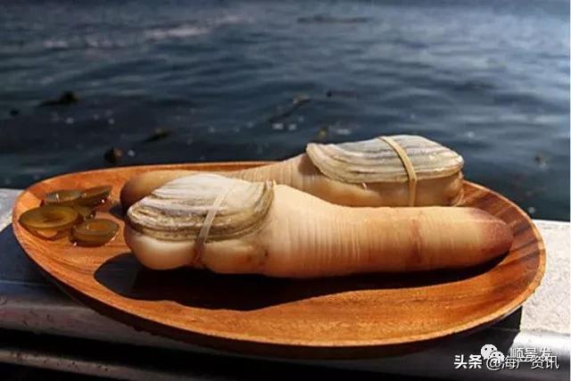 各国海鲜大盘点,今年过年最值得入手的海鲜