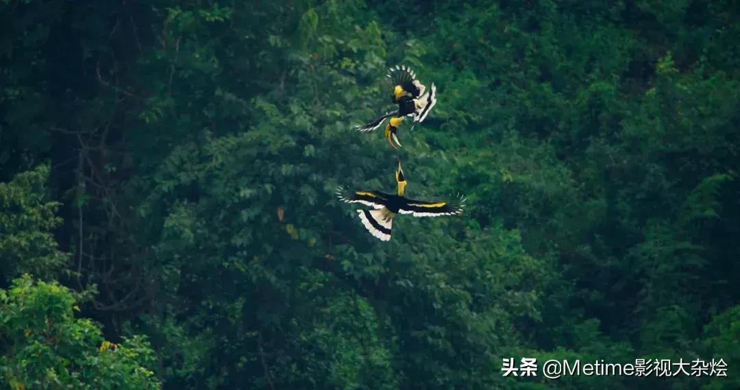 8月份最值得追的四部剧,四月必追的六部剧