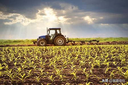 农村创新创业专栏,农村是创业创新的广阔天地