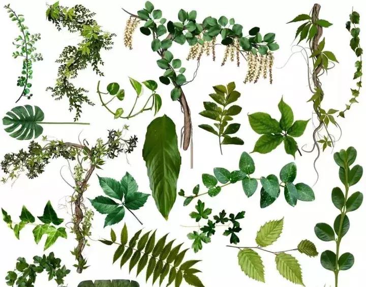 「热点」小留下机就被遣返！只因包里放了这些……