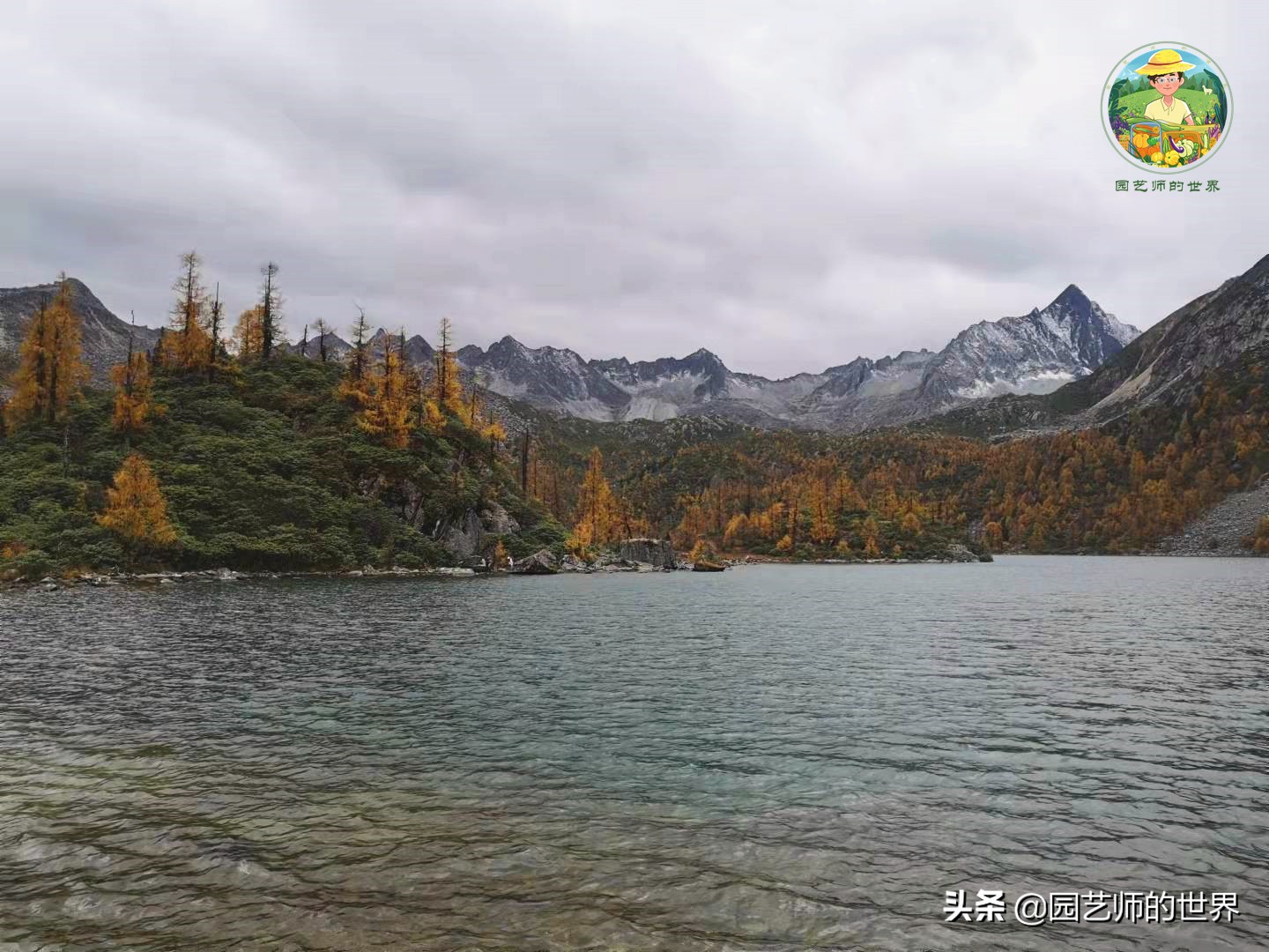 夏季草莓还能开花结果吗,草莓夏季高产