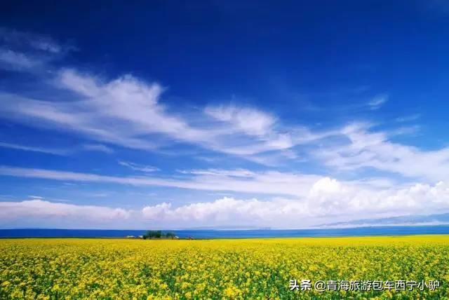 青海那么美,青海小驴旅游攻略