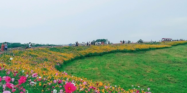 坐拥“中优”“南拓”双红利！