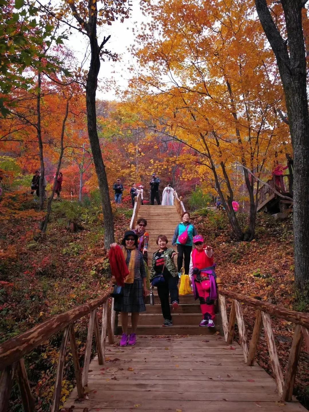 假期逛景区一大波优惠等着您,景点优惠活动视频