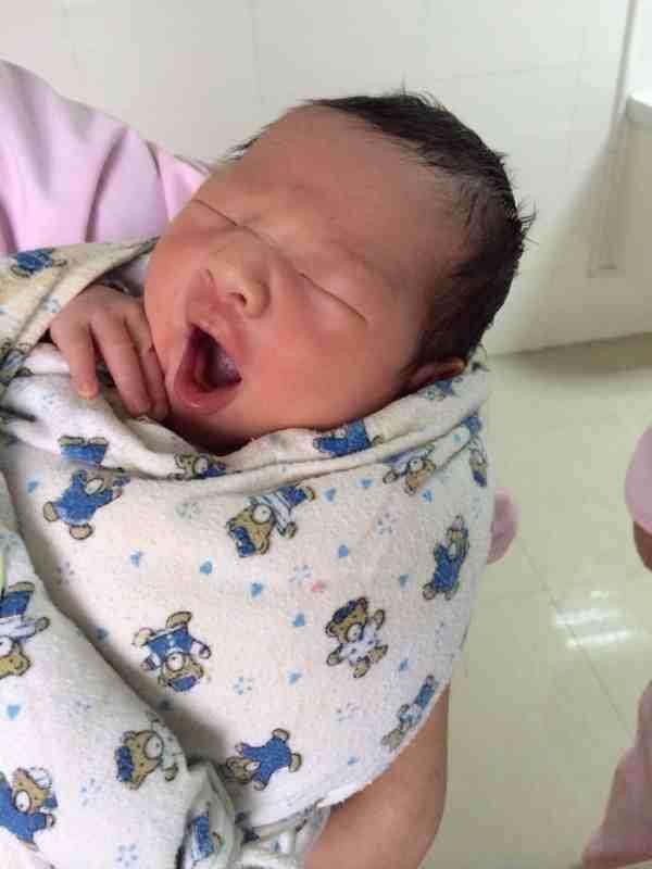 人参果盗取五庄观镇元子法宝,西游记五庄观发生了什么事