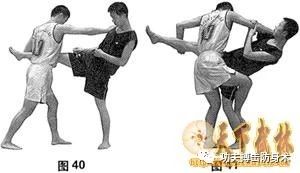 散打比赛最实用摔法,散打基本拳法有几种