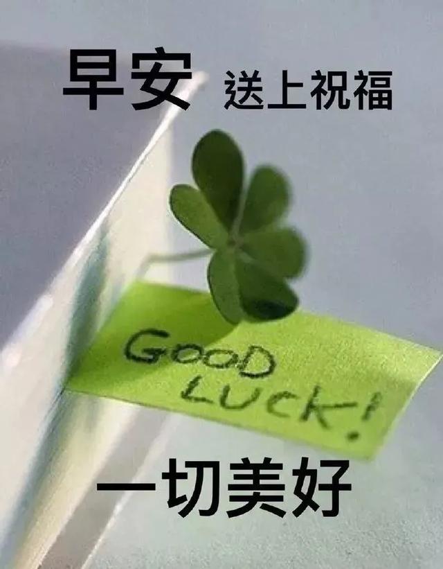 祝福表情包｜穷则独善其身，达则兼济天下