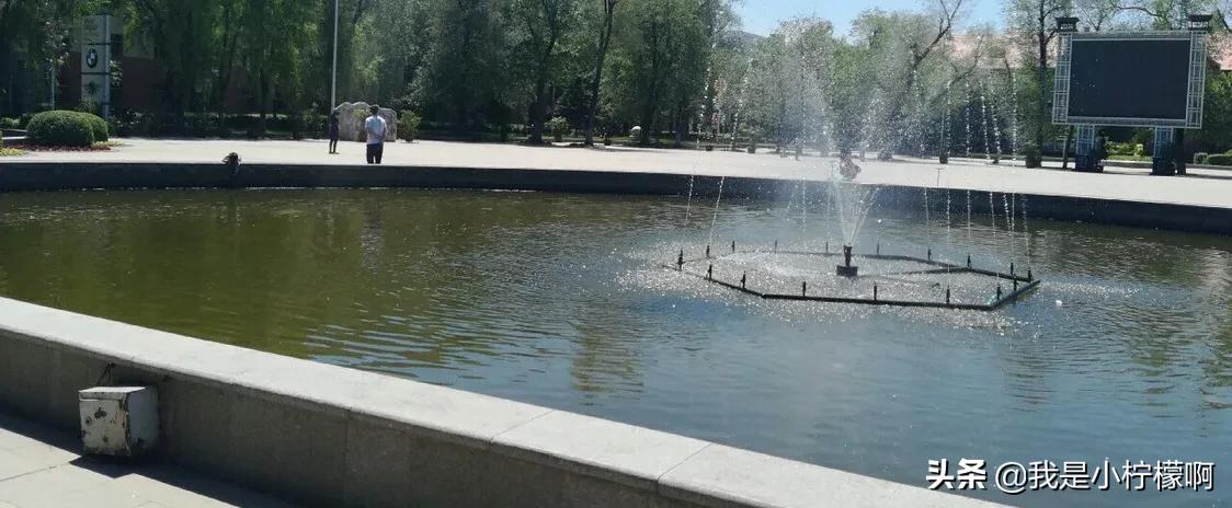 黑龙江农业工程职业学院中药,黑龙江农业工程职业学院院长