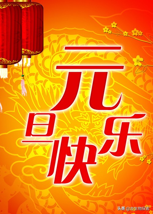 蛋蛋千变万化，就连哺乳动物都生蛋！