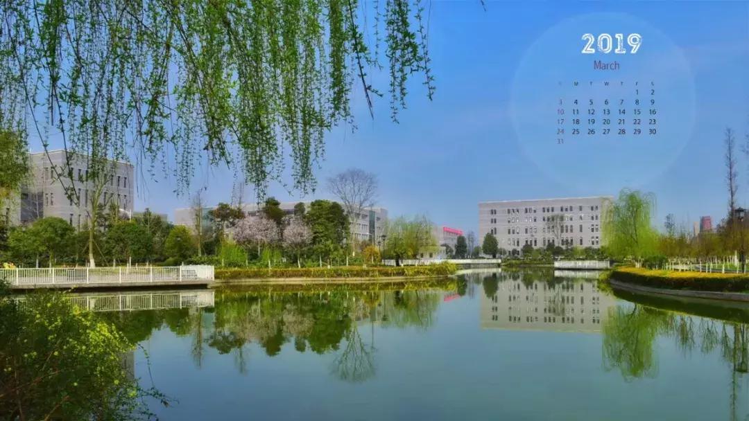 天一版新年月历，和小天一起迎接2019