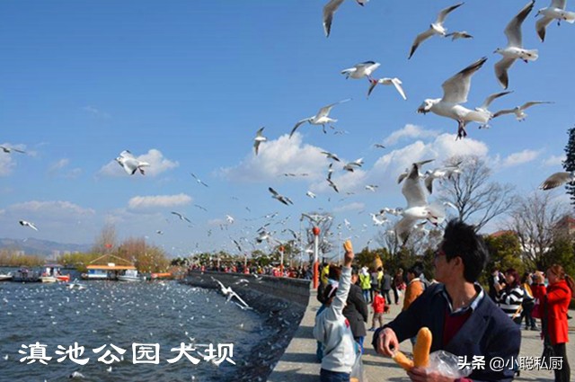 到昆明旅游自由行游记攻略一日游,人生如旅途原唱视频