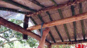 她在全世界圈粉,却在国内挨骂