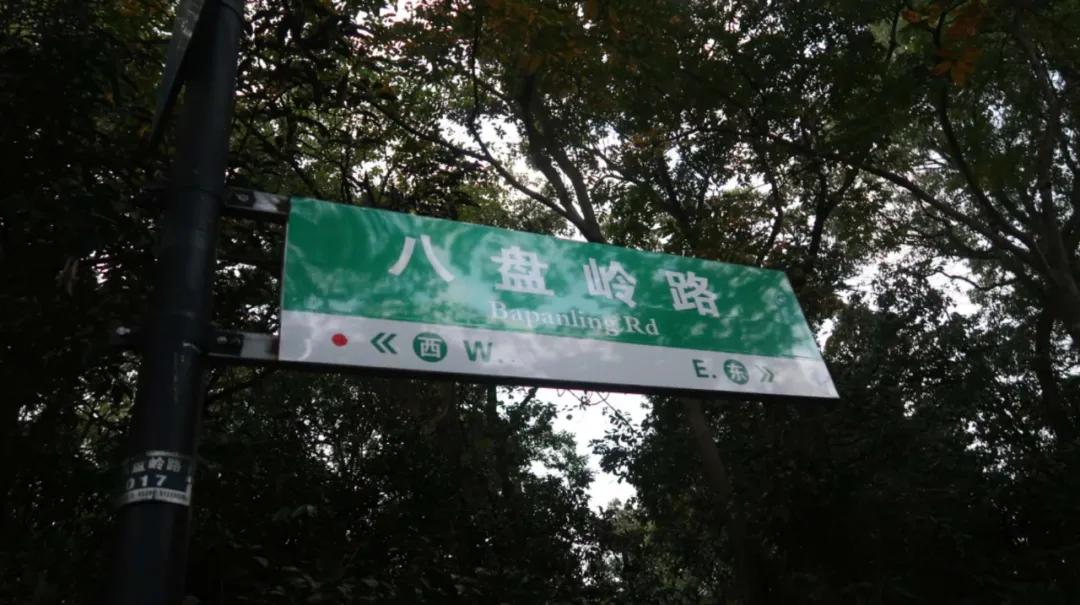 杭州西湖3天2晚自由行攻略,24小时杭州之旅