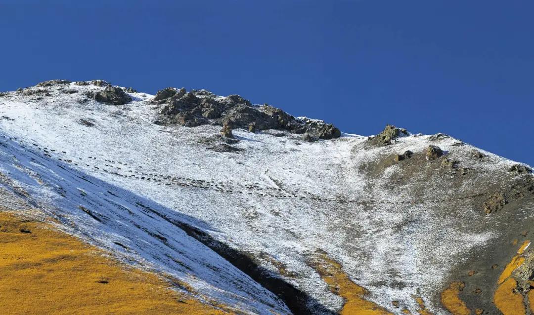看图写话风景画,看图说话的镜头