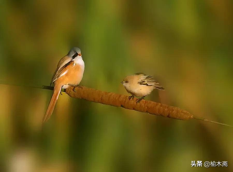 山水谢灵运诗词,李白秋登宣城谢脁北楼原诗详解