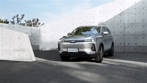 半价纯电动车,半价新能源suv