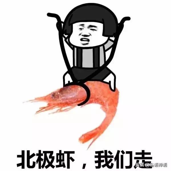 就想吃个海鲜，怎么还分冷冻、急冻、生冻、熟冻、船冻、岸冻？！