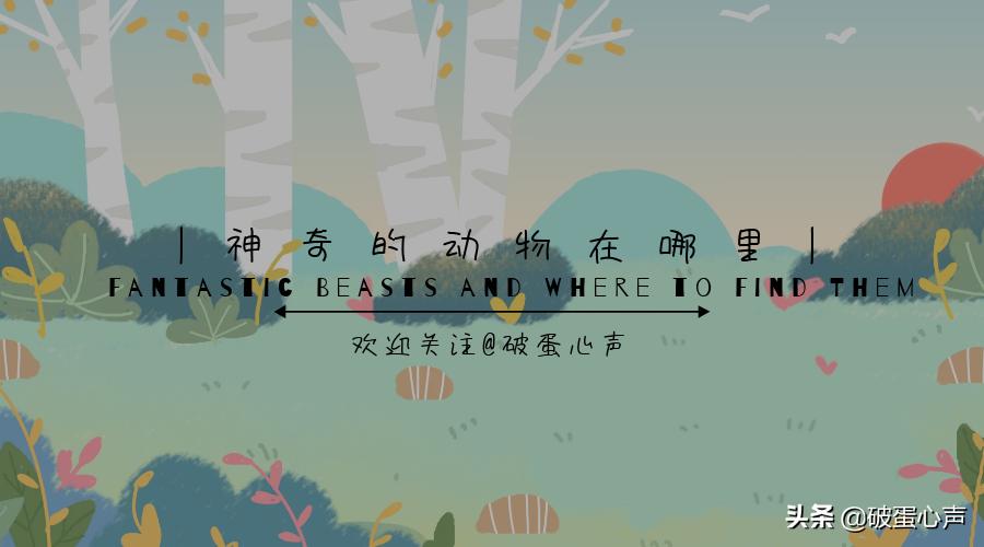 猫咪也有自己的烦恼,猫咪有自发性膀胱炎