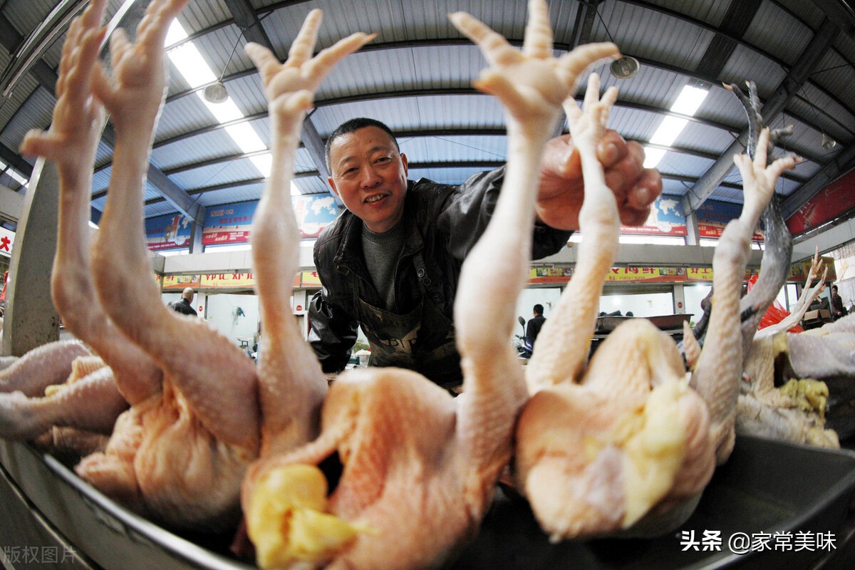 炖鸡肉时千万别直接焯水,炖鸡肉的正确方法