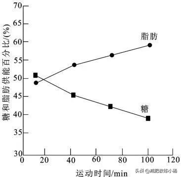 脂肪是如何被消耗和排出体外的,脂肪是如何通过运动被消耗掉的