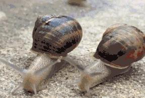 钢琴五线谱所有符号及讲解,初学者钢琴五线谱知识