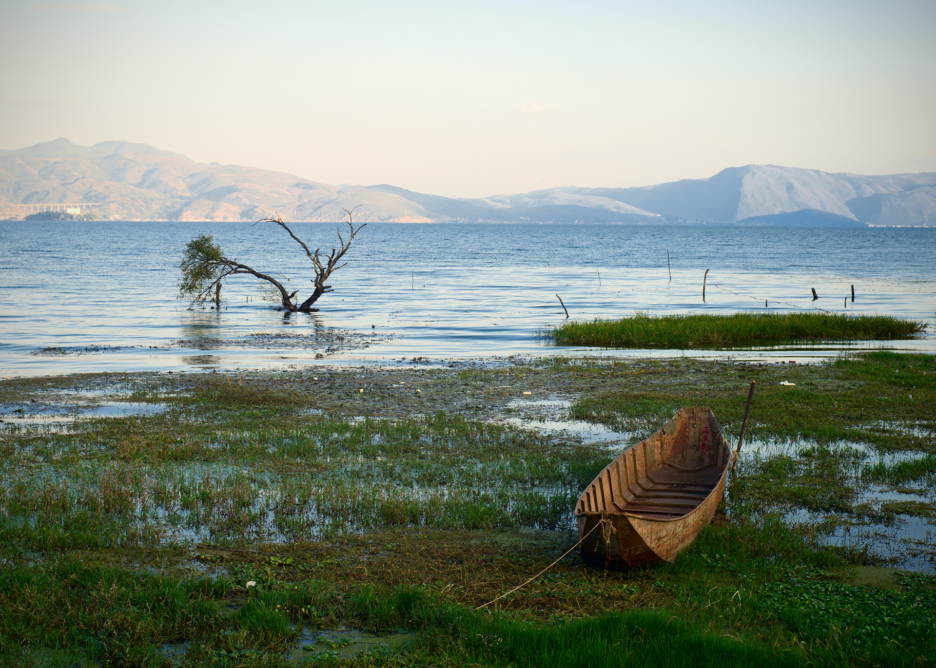 2023腾冲看银杏最佳时间,腾冲看银杏树旅游攻略