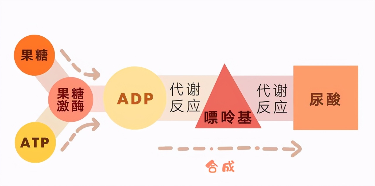 尿酸高如何把尿酸排出,尿酸高如何让尿酸排出