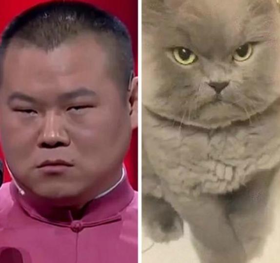 明星撞脸不可怕性别不同就尴尬,意想不到的明星撞脸