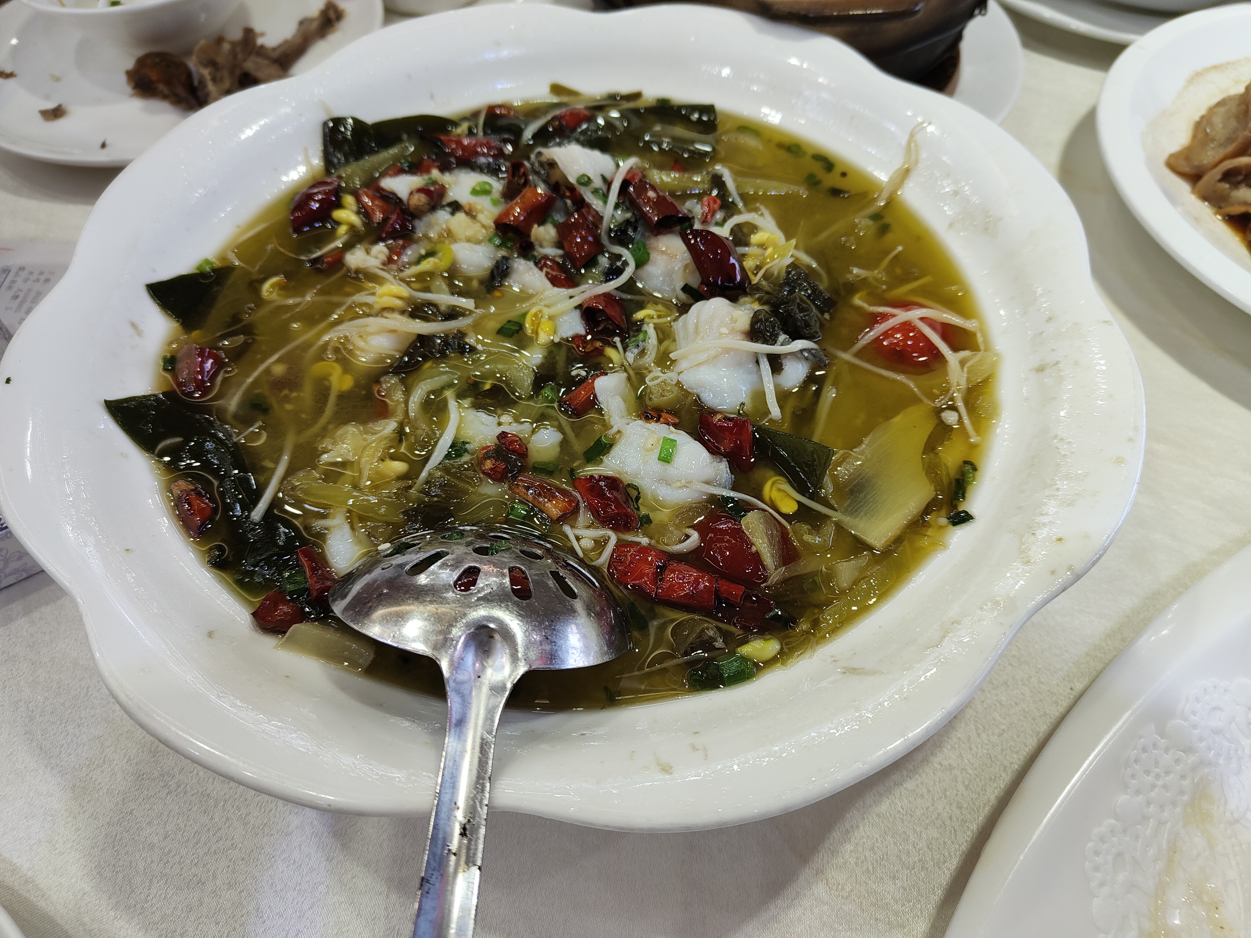 拉稀能吃乳鸽吗,为什么吃乳鸽夜里肚子会痛