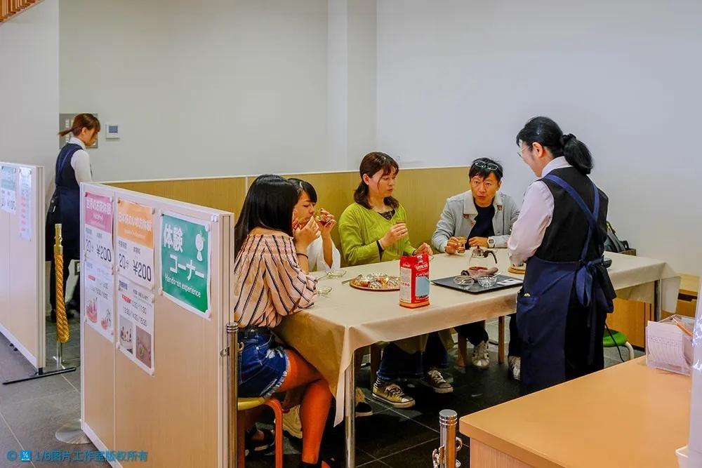 日本的茶博物馆,日本茶之都茶道体验