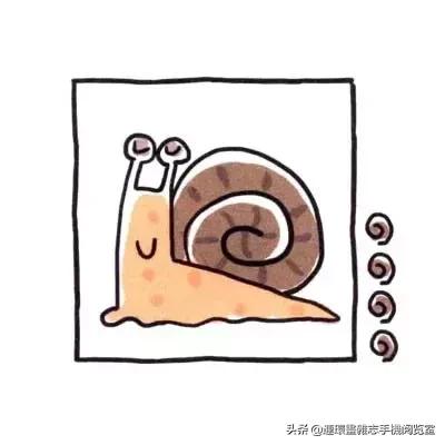 可爱的小昆虫简笔画,我认识的昆虫简笔画