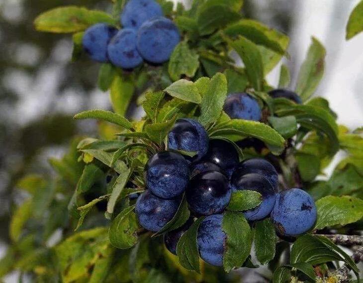 便秘患者生活小妙招,便秘困难的朋友们有救了