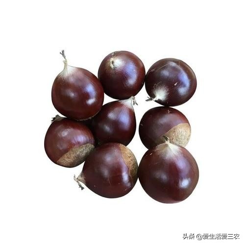 农村各个季节的野果,秋季有什么野菜野果