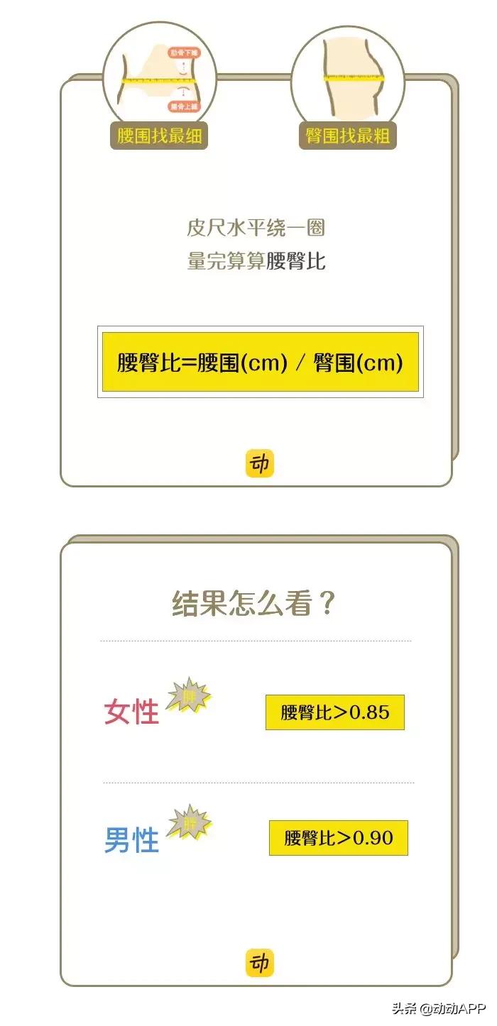 腰肥一寸命短十年,腰长一寸寿减十年